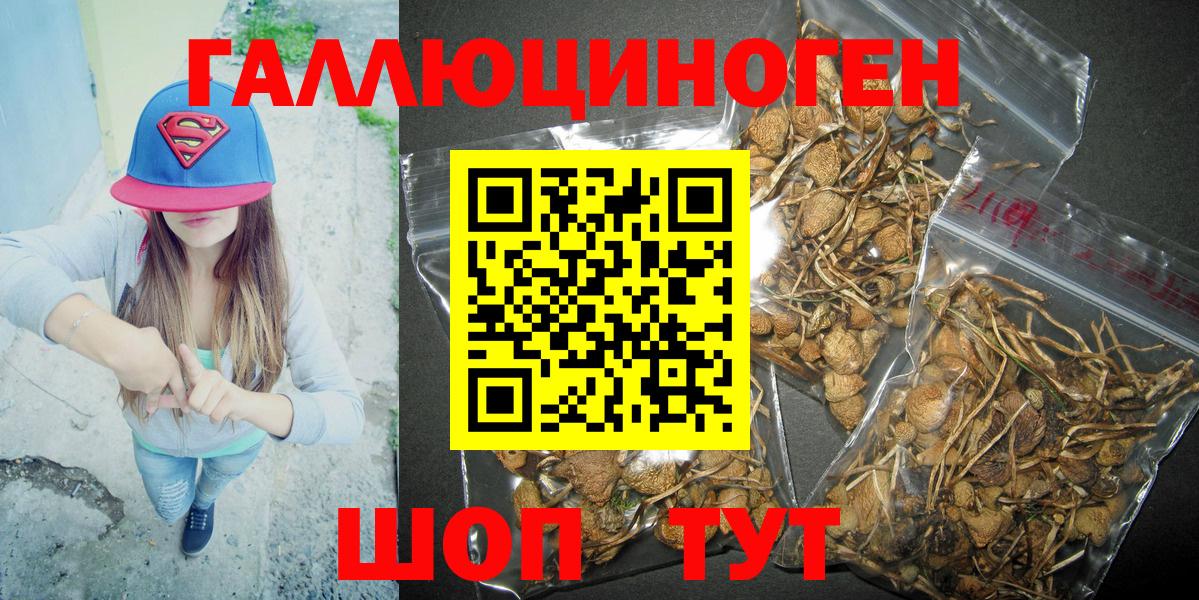 Реутов  Галлюциногенные грибы Psilocybe  Вход с VPN 