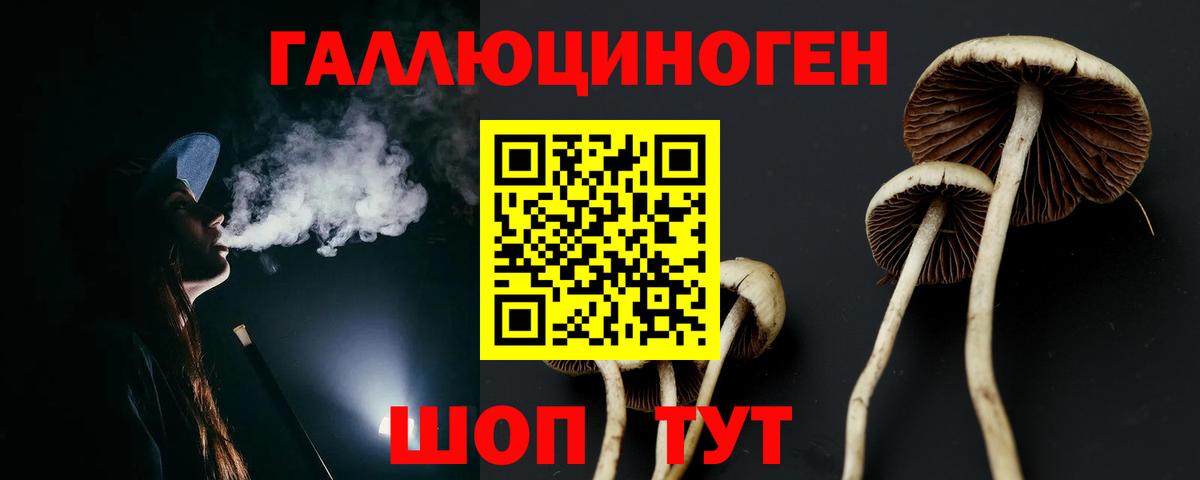 Галлюциногенные грибы мухоморы Реутов
